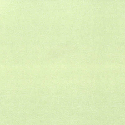 ARCTIC FLEECE SOLIDS - GREEN COLOUR FAMILY - Image 3