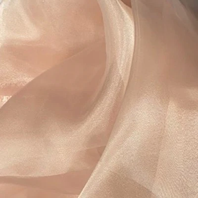 SHINY ORGANZA - Image 10