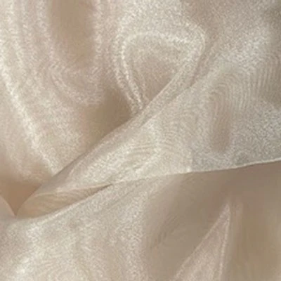SHINY ORGANZA - Image 4