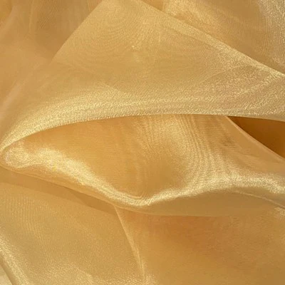 SHINY ORGANZA - Image 6