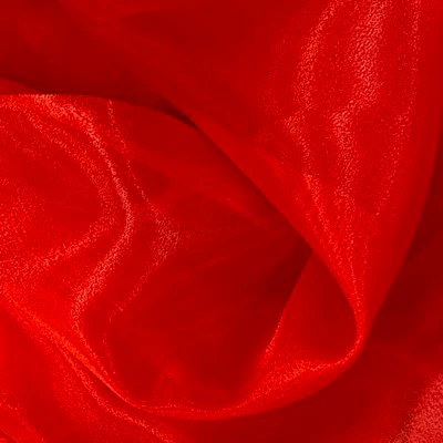 SHINY ORGANZA - Image 7