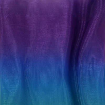 RAINBOW ORGANZA - Image 2