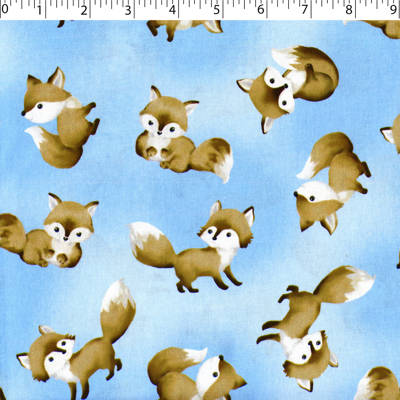 SPECIAL DELIVERY COORDINATES - BABY FOX