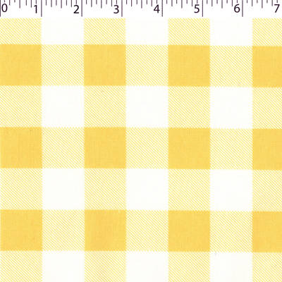 JUST BASICS BUFFALO CHECK - 1" - Image 9