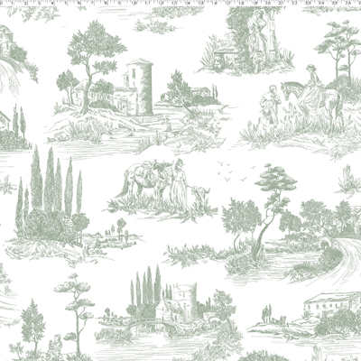 BELLA CASA COLLECTION - COUNTRYSIDE TOILE - Image 4