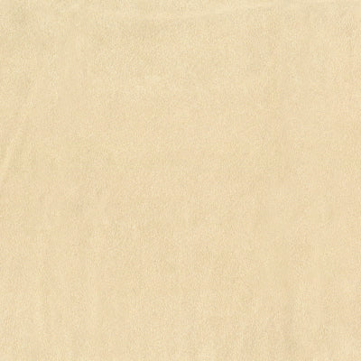 SABLE SUEDE - Image 5