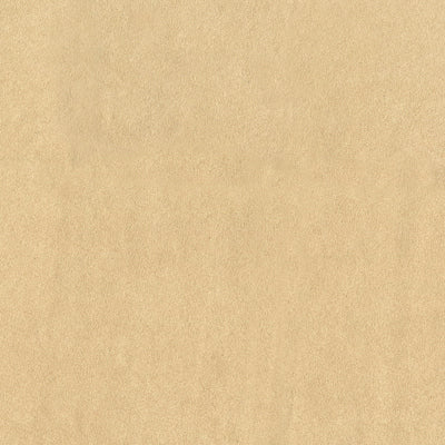 SABLE SUEDE - Image 6