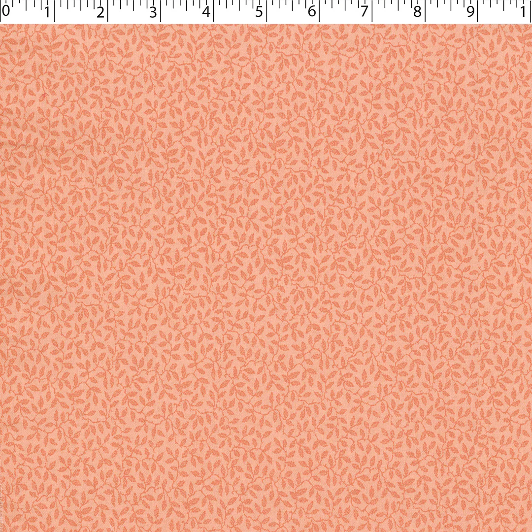 BOTANICAL BLENDER - Image 4