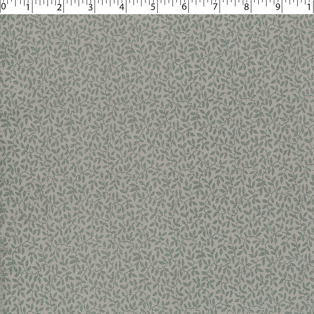 BOTANICAL BLENDER - Image 8