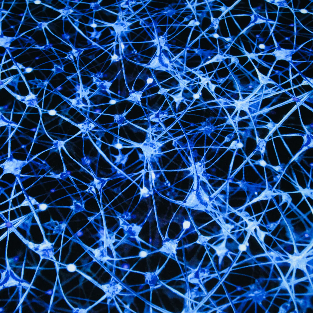 ARIELLE - KNIT PRINTS - ABSTRACT WEB - Image 3