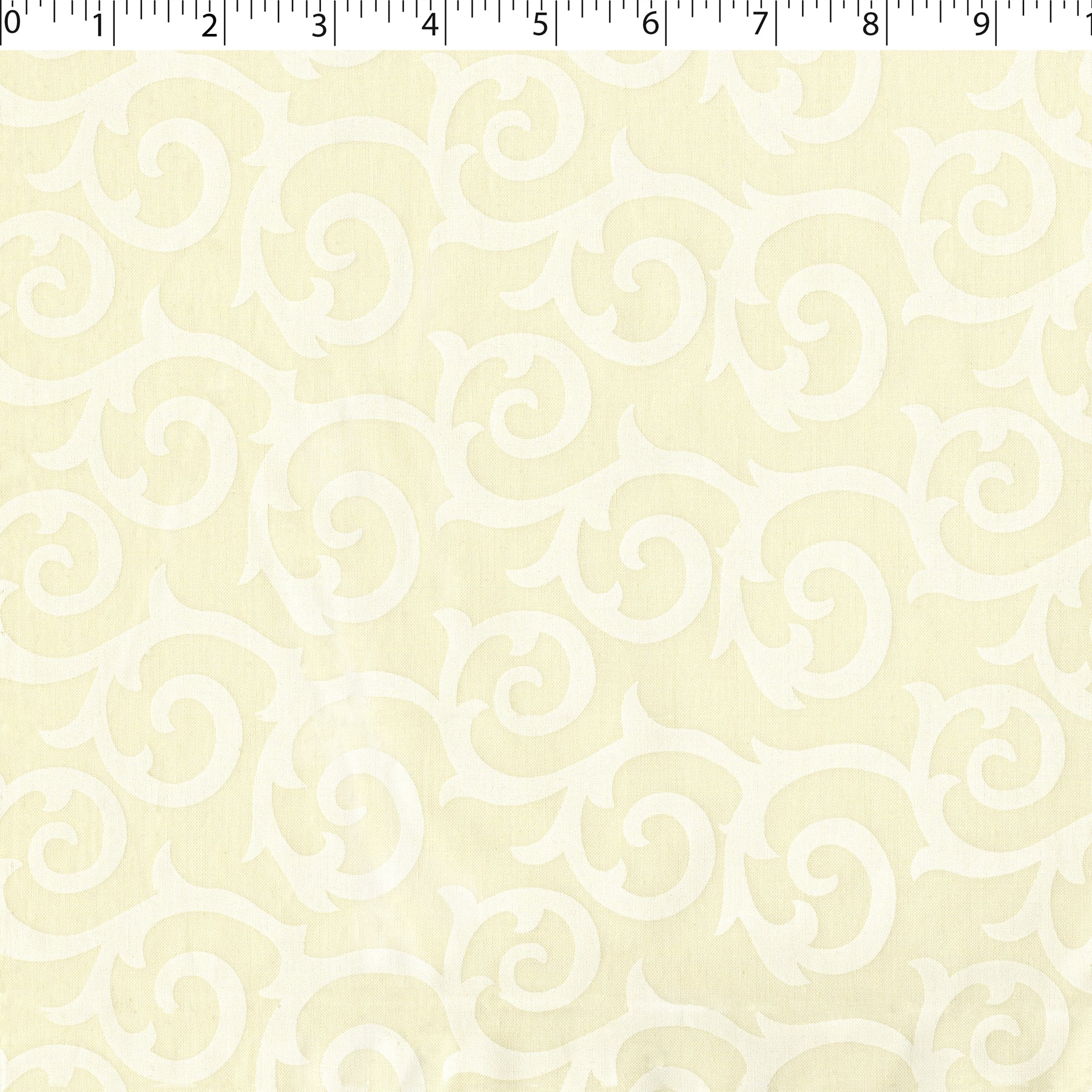 DAISY MAY LACQUER PRINTS - SCROLL