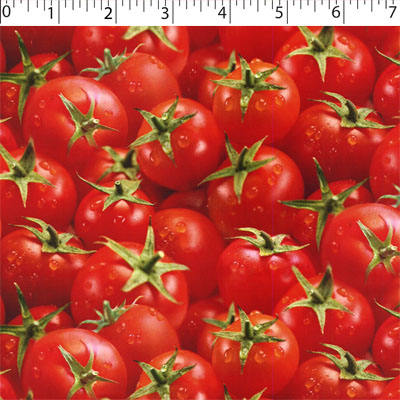 VEGETABLE GARDEN - TOMATOES