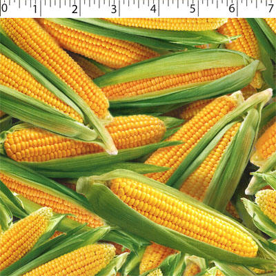 VEGETABLE GARDEN - CORN