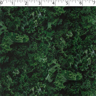 VEGETABLE GARDEN - KALE