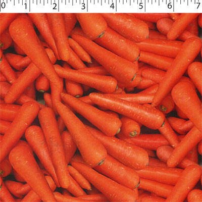 VEGETABLE GARDEN - CARROTS