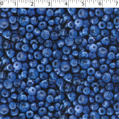 FRUIT STAND - BLUEBERRIES