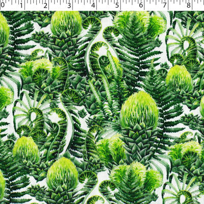 DINOSAUR VALLEY - PREHISTORIC PLANTS - Image 2