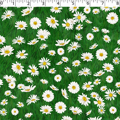 SUNFLOWER MEADOW - DAISY FIELD