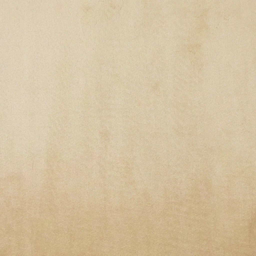 FRANCIS BACK TAB PANEL - BUFF - Image 2
