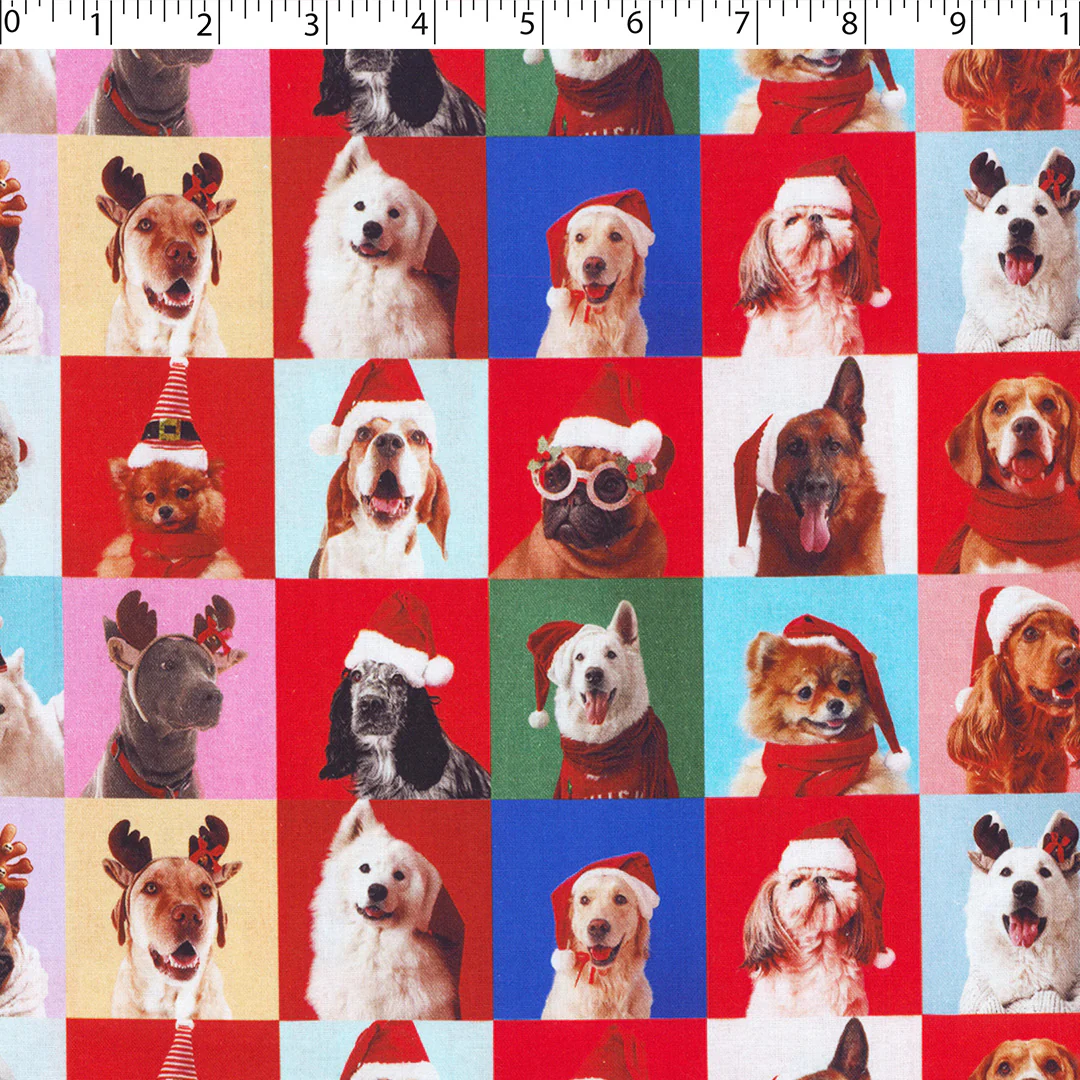 JINGLE PETS II - HOLIDAY DOGS